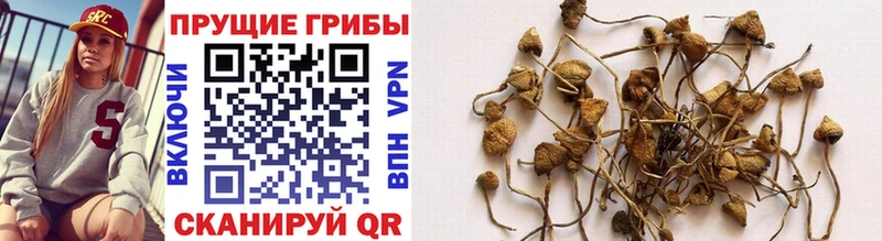 Псилоцибиновые грибы Psilocybine cubensis  продажа наркотиков  Покровск 